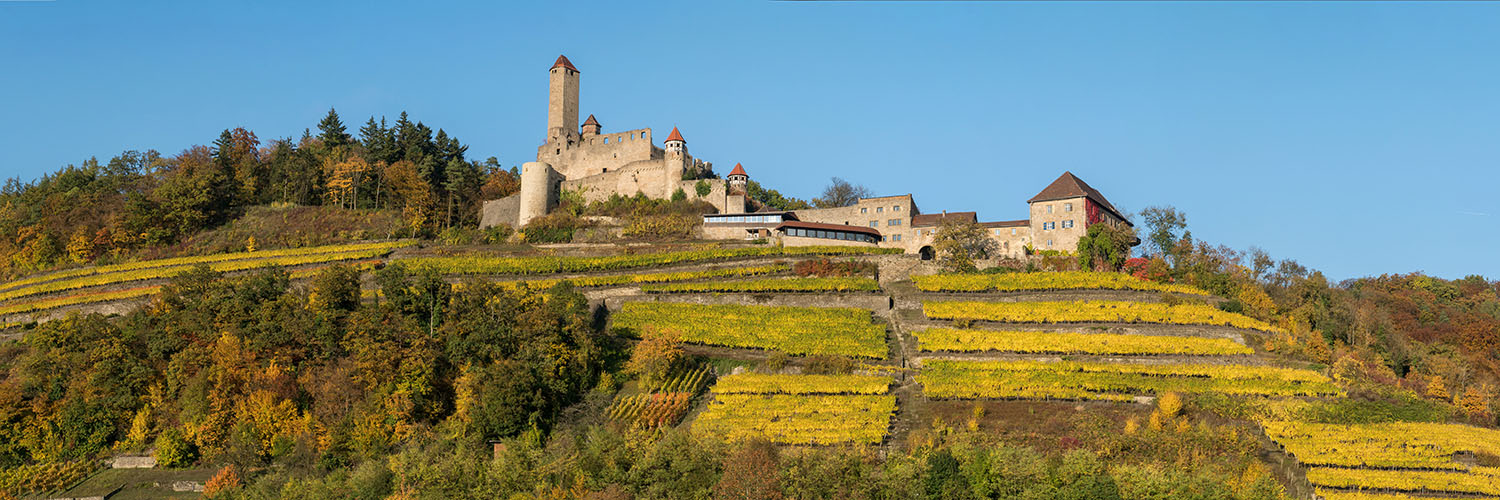 Burg Hornberg Neckarzimmern