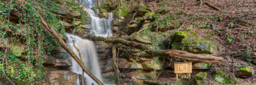 Margarethenschlucht, Neckar-Odenwald Kreis, Odenwald