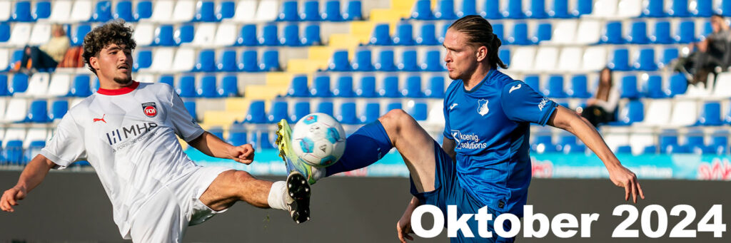 1. FC Heidenheim, DFB Nachwuchsliga, Fussball, Jugend, Junioren, Marlon Fass, TSG 1899 Hoffenheim, TSG Akademie, U19