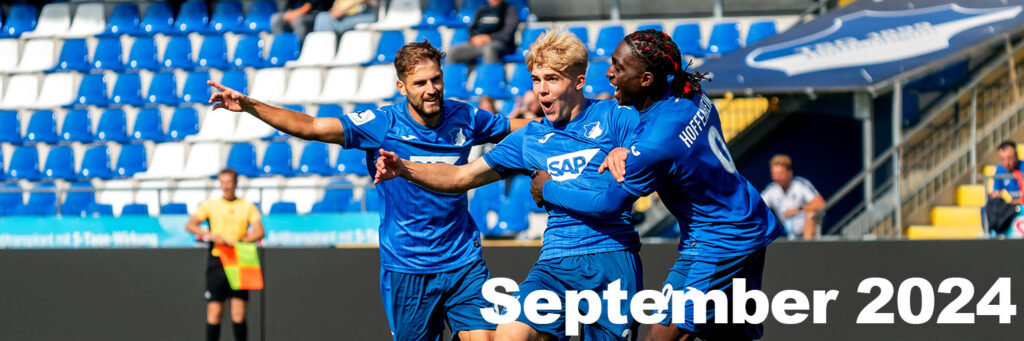 Bahlinger SC, Fussball, Hennes Behrens, Jubel, Regionalliga Suedwest, TSG 1899 Hoffenheim II, TSG Akademie, U23